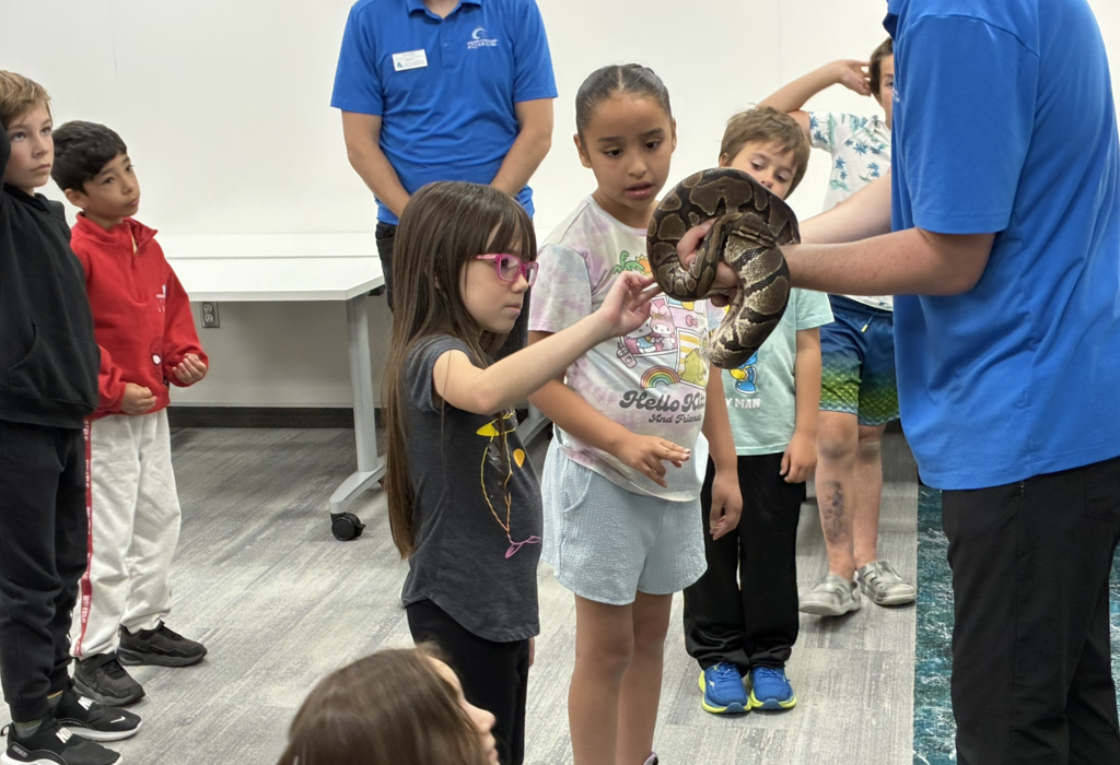 a student petting a snake