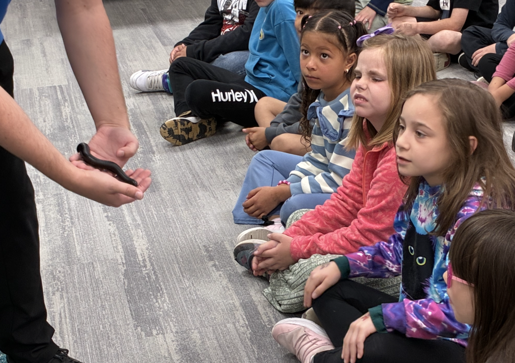 2nd grade students being shown a centipede from the rainforest