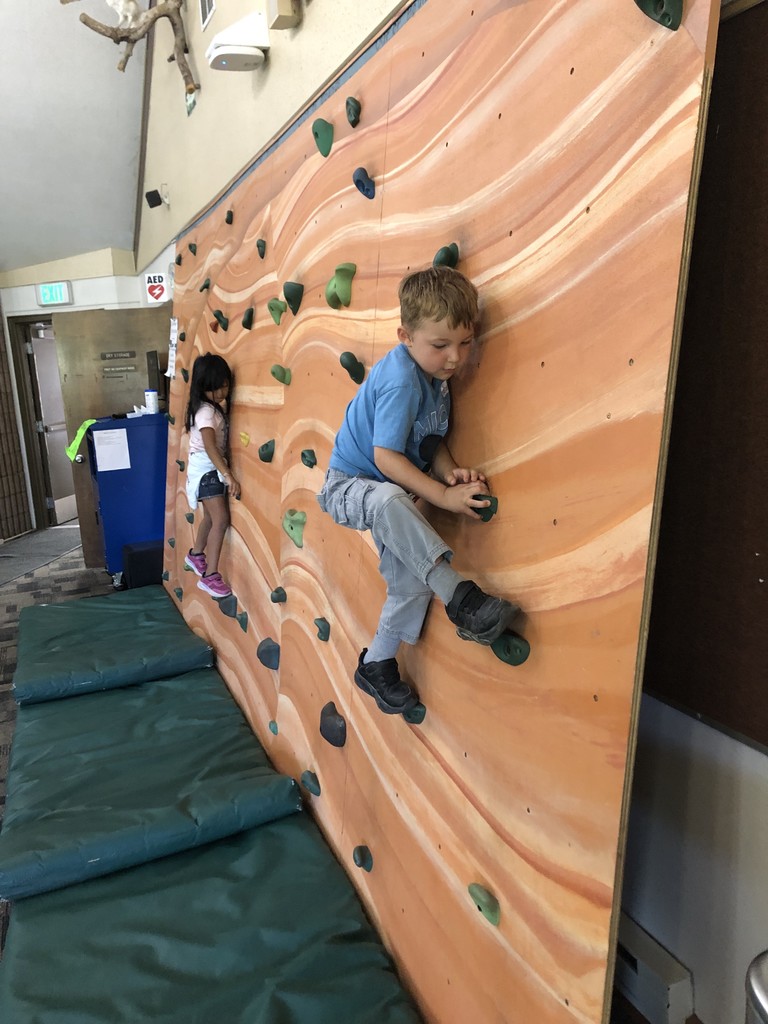 climbing on the rock wall
