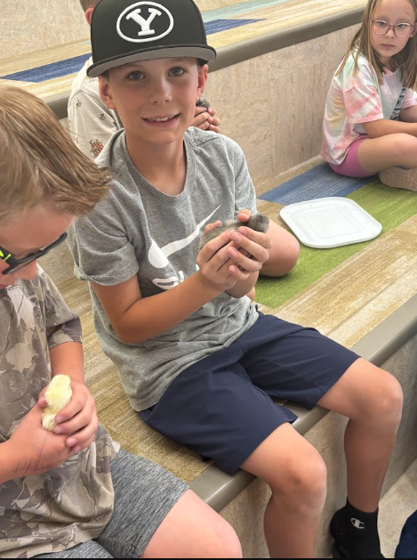 A young boy wearing a black baseball cap with a white "Y" logo smiles while cupping a small, greyish-brown chick in both hands. Other children nearby are also holding chicks.