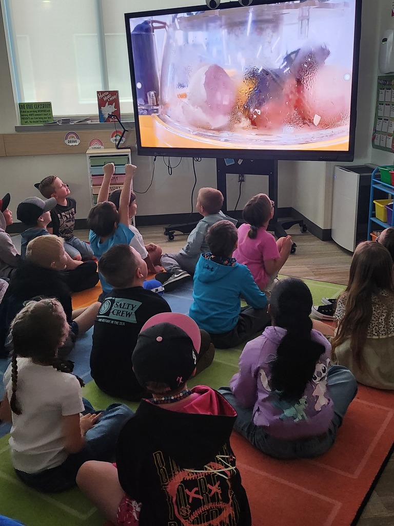 A classroom of children sitting on a colorful rug, facing a large television screen displaying a live close-up of a chick hatching from an egg. One student in the back has their fists raised in excitement. A small sign on the wall reads "ONE RULE CLASSROOM."