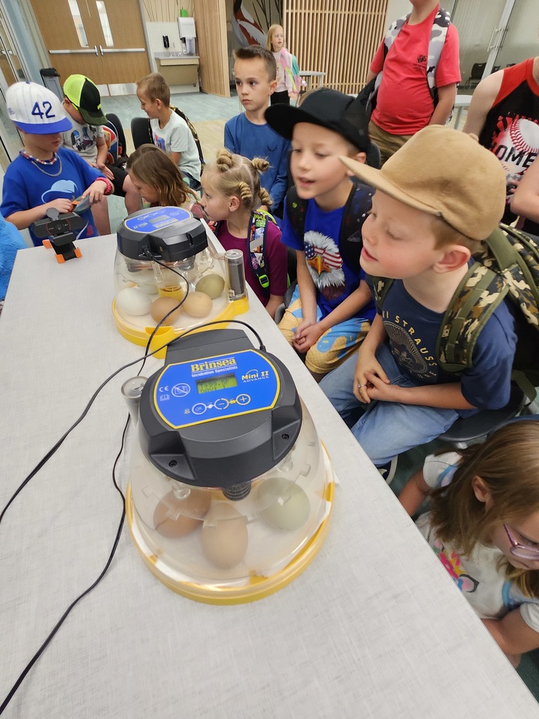 A group of elementary students gathers around a white table looking curiously at two circular Brinsea Mini II Advance egg incubators. Inside the clear domes, several brown and green eggs are being incubated. One boy in a tan hat leans in close to get a better look.