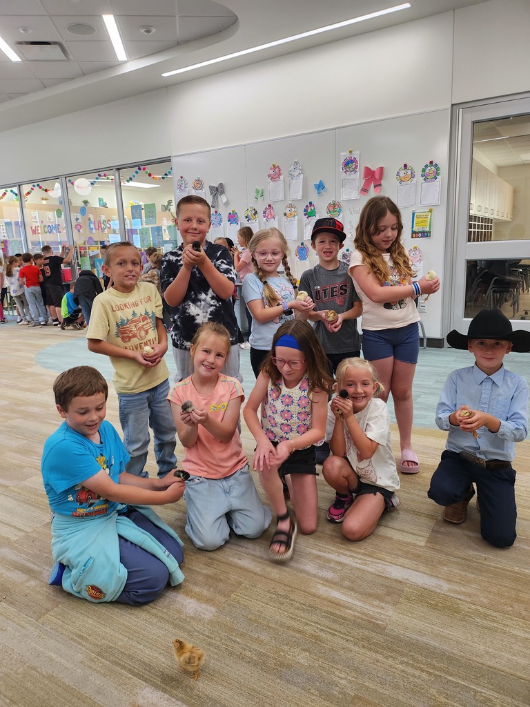 A small group of ten children poses in a bright hallway, with many of them gently holding small, fuzzy chicks in their hands. The background features a glass wall and a white door. One boy on the left wears a yellow shirt that says "LOOKING FOR ADVENTURE."
