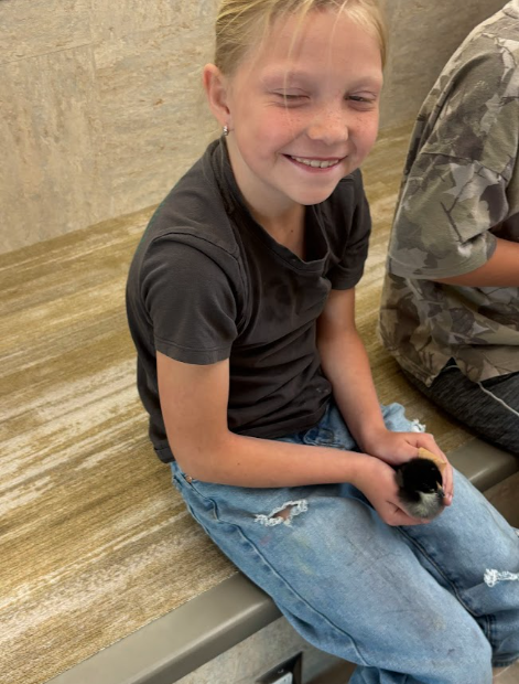 A young girl with blonde hair and freckles smiles widely with her eyes squinted in joy as she holds a small black chick in her lap. She is wearing a dark t-shirt and ripped blue jeans while sitting on a tan bench.