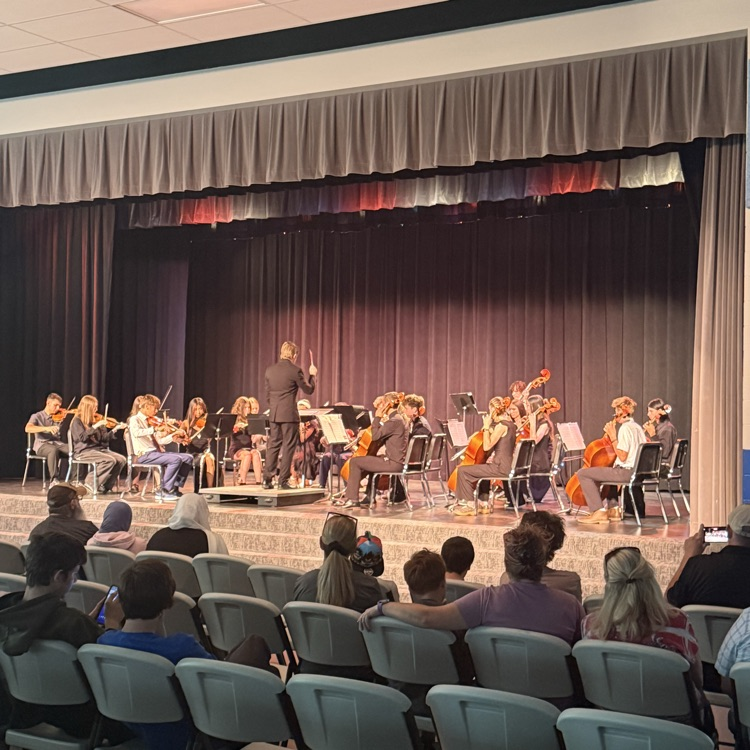 The orchestra concert was excellent.  
