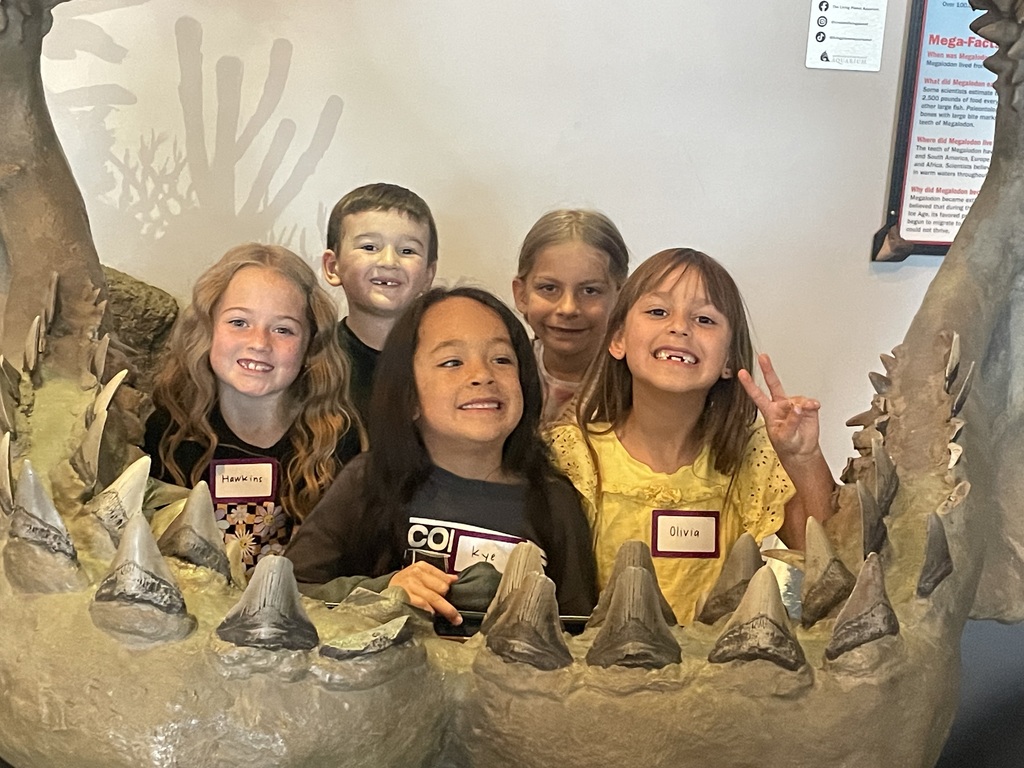 1st graders at the aquarium
