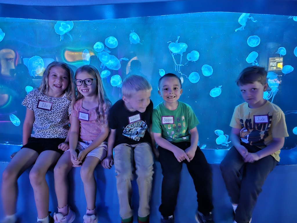 1st graders at the aquarium