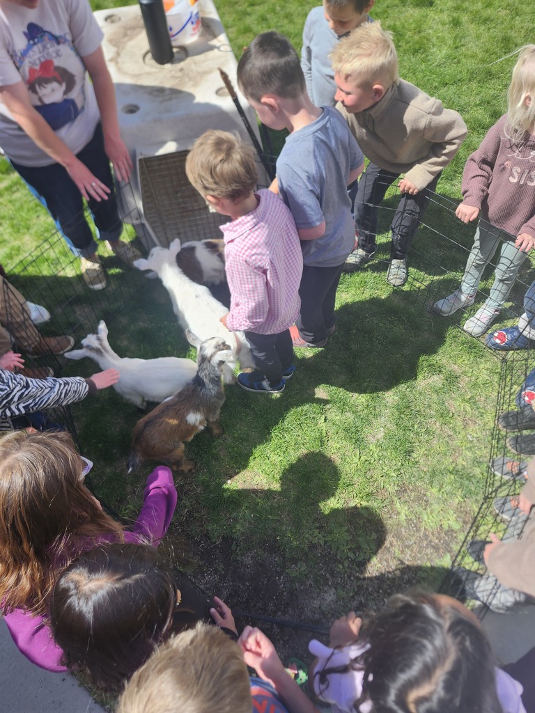 Kinder had some Baby goats come to visit