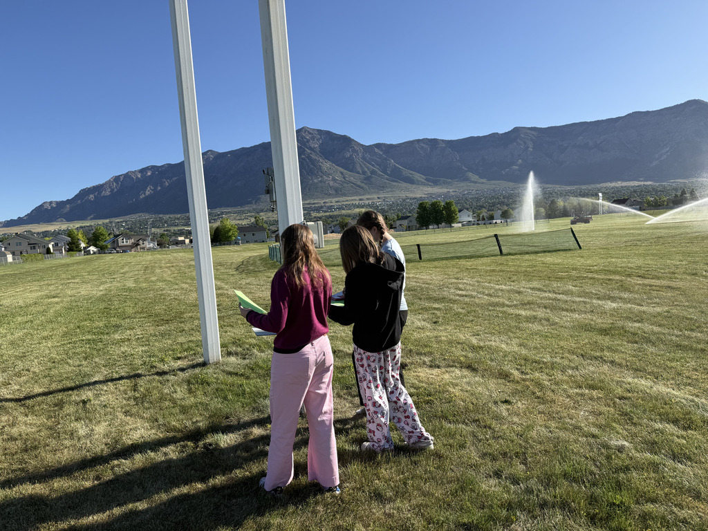 Walking for Math Learning