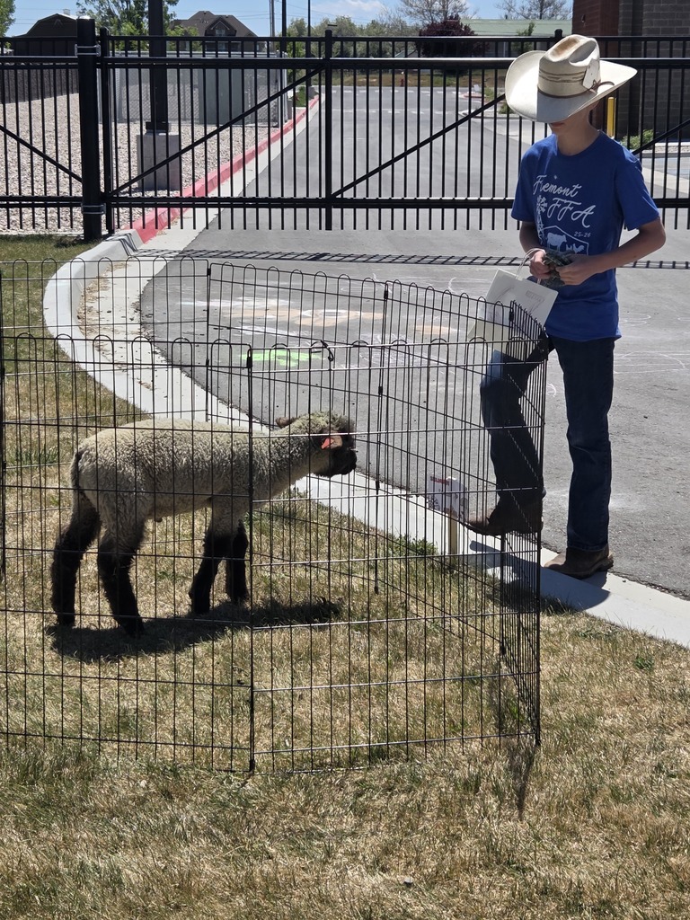 A boy wearing a cowboy hat, jeans, and a blue t-shirt stands outside next to a small, wire-mesh pen enclosing a young lamb on a patch of grass near an asphalt driveway and black metal fence. Text in image: The boy's blue t-shirt reads "Fremont FFA '25-'26" with small graphics of a windmill and farm animals.