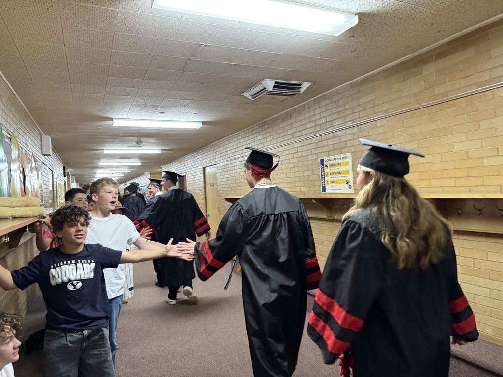 View from behind a graduate walking down a brick hallway, reaching out to high-five a line of excited elementary school students.