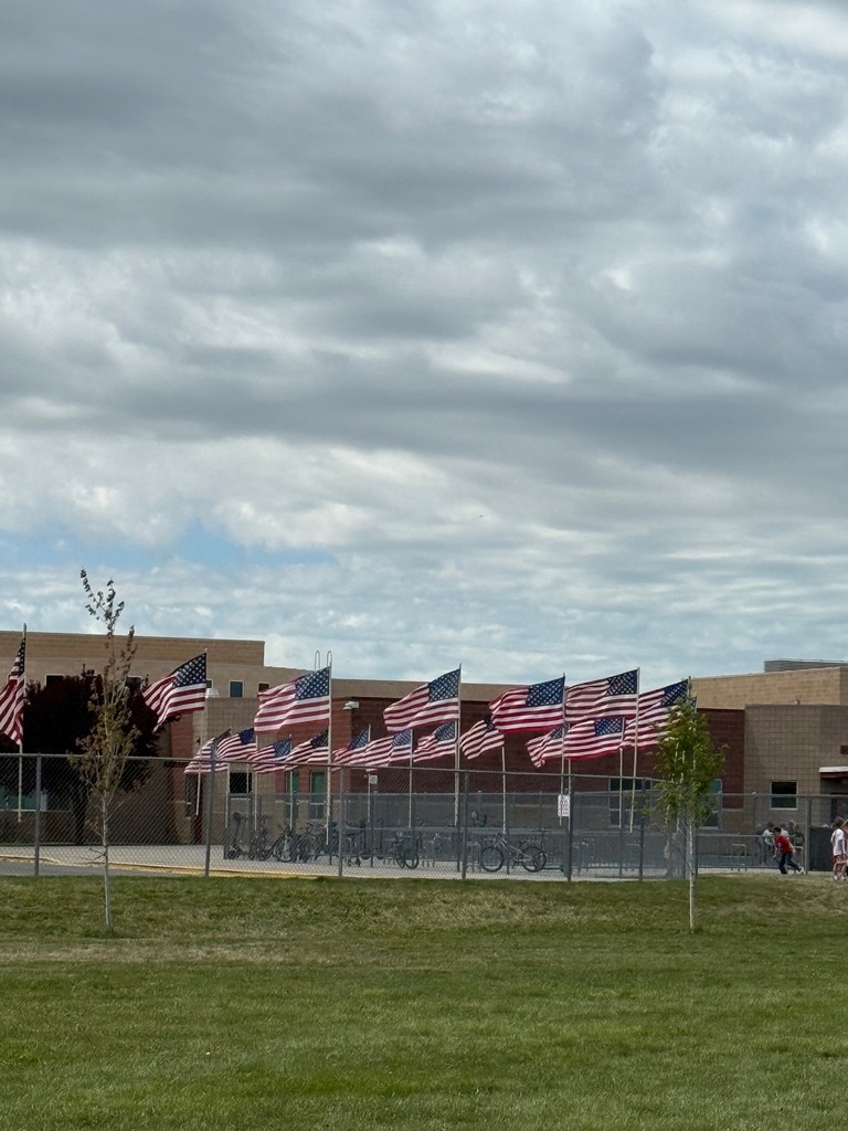 school and panthers america sign and flags