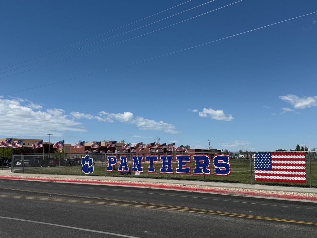 school and panthers america sign and flags