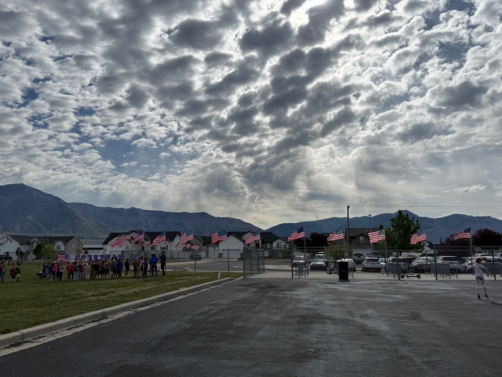 school and panthers america sign and flags