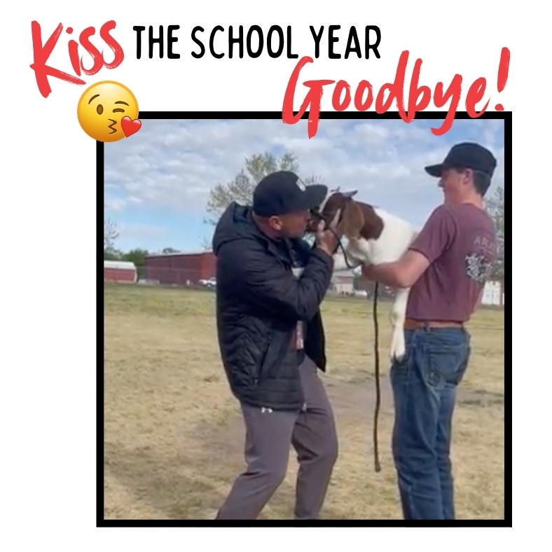 Kiss the school year goodbye!