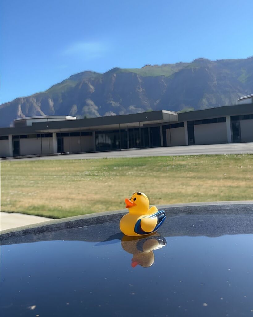 Duck infront of Canyon View School
