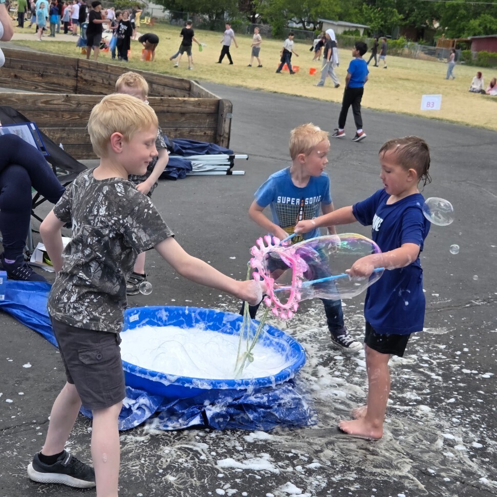Field Day