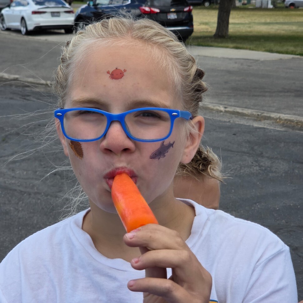 Field Day
