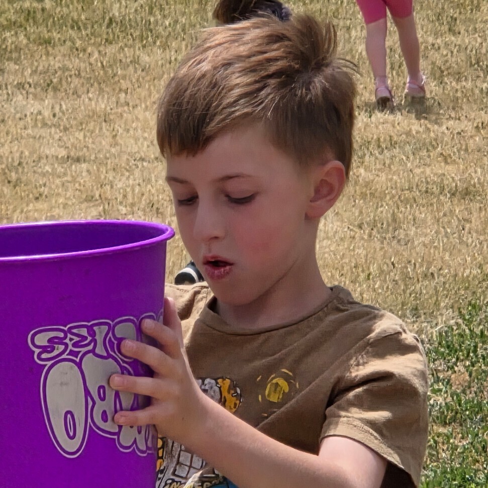 Field Day