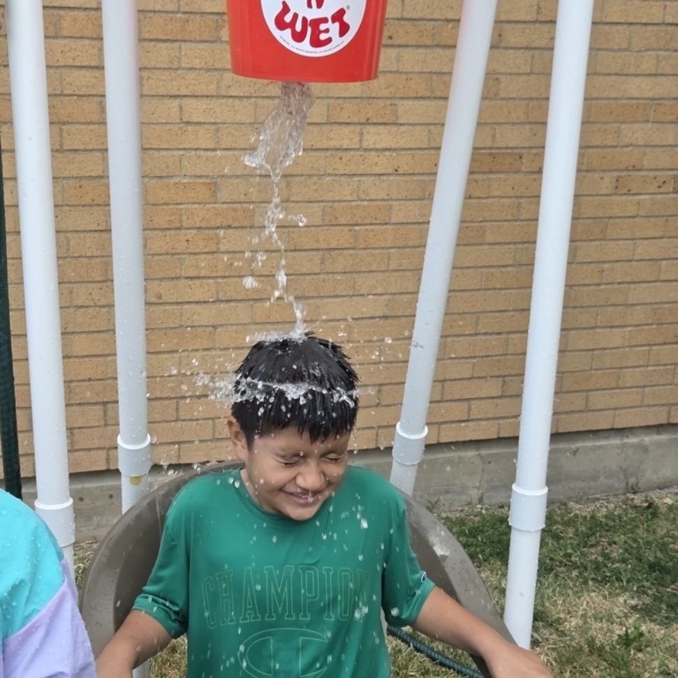 Field Day