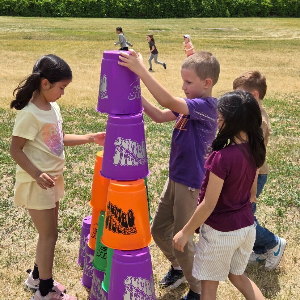 Field Day