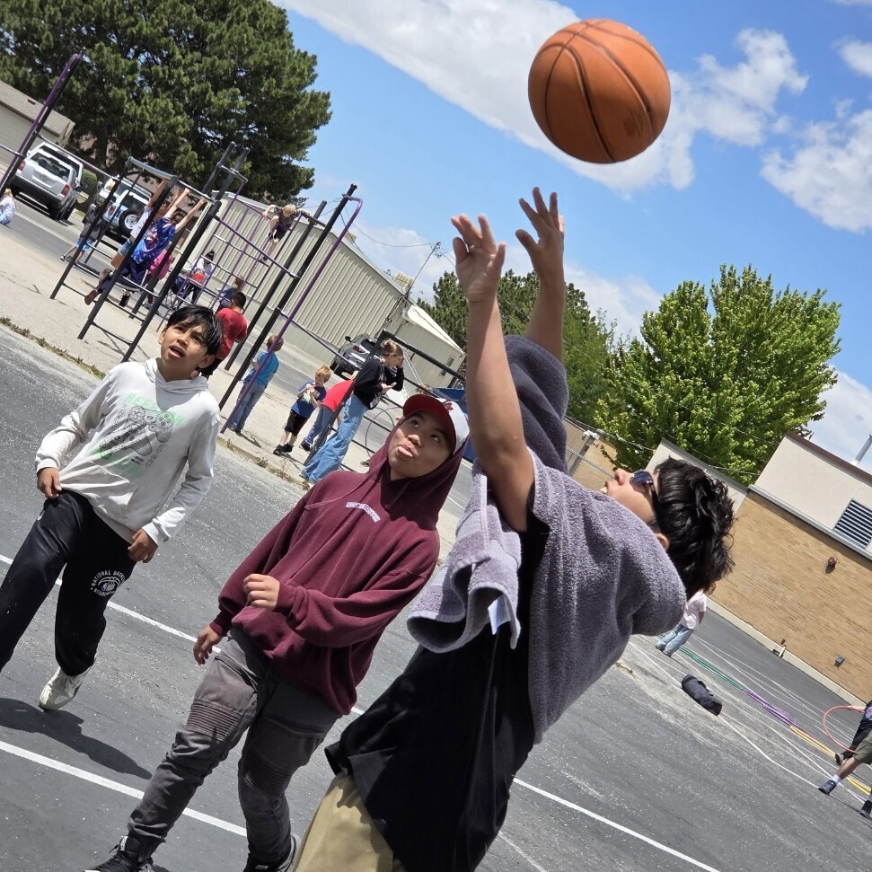 Field Day