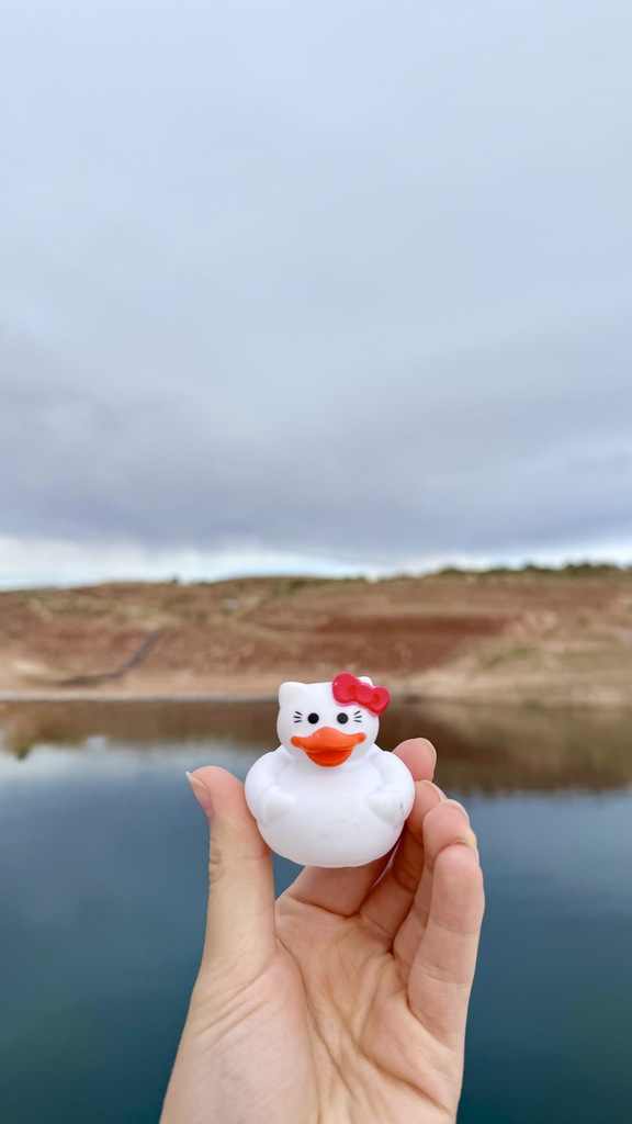 Duck near a lake.