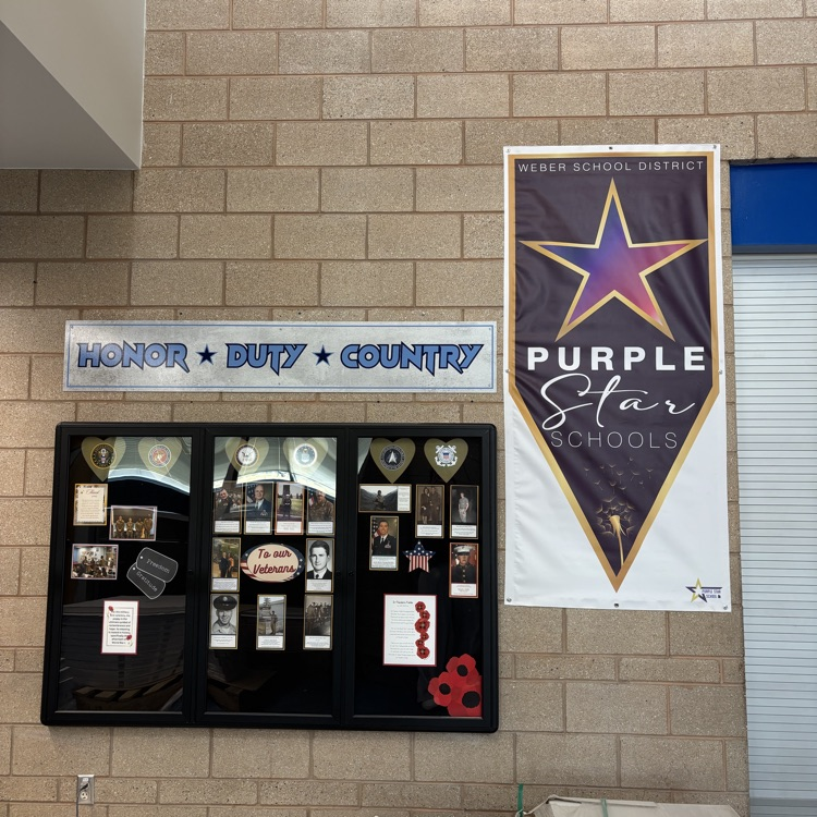 purple star school