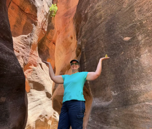Duck in the Canyon