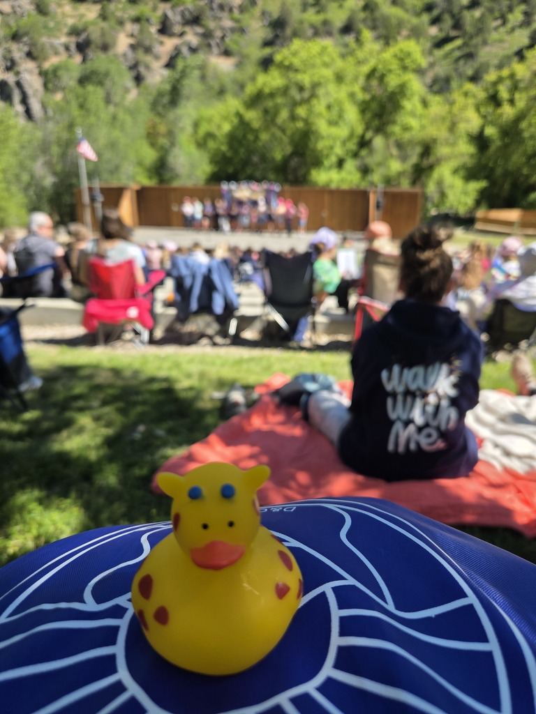 Duck watching a play