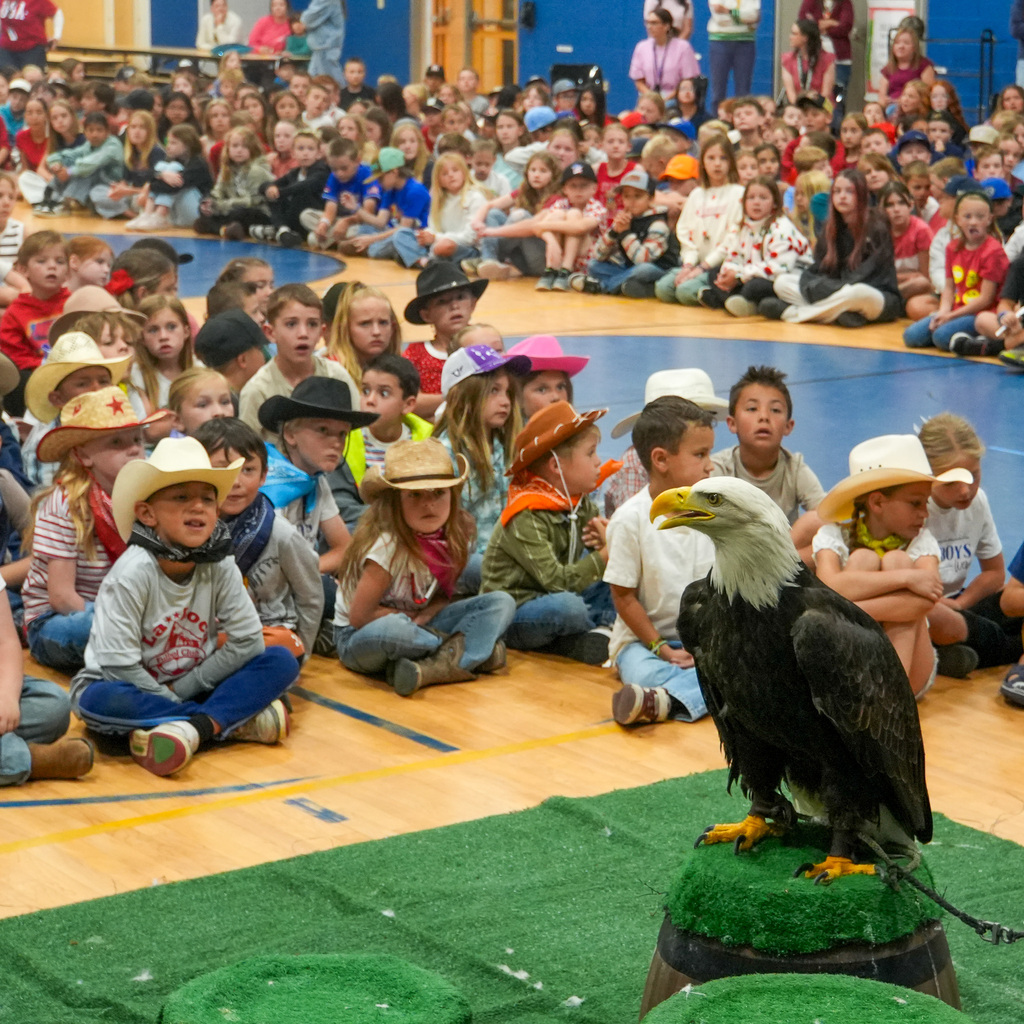 A bald eagle sits in the foreground with the students in the background looking on