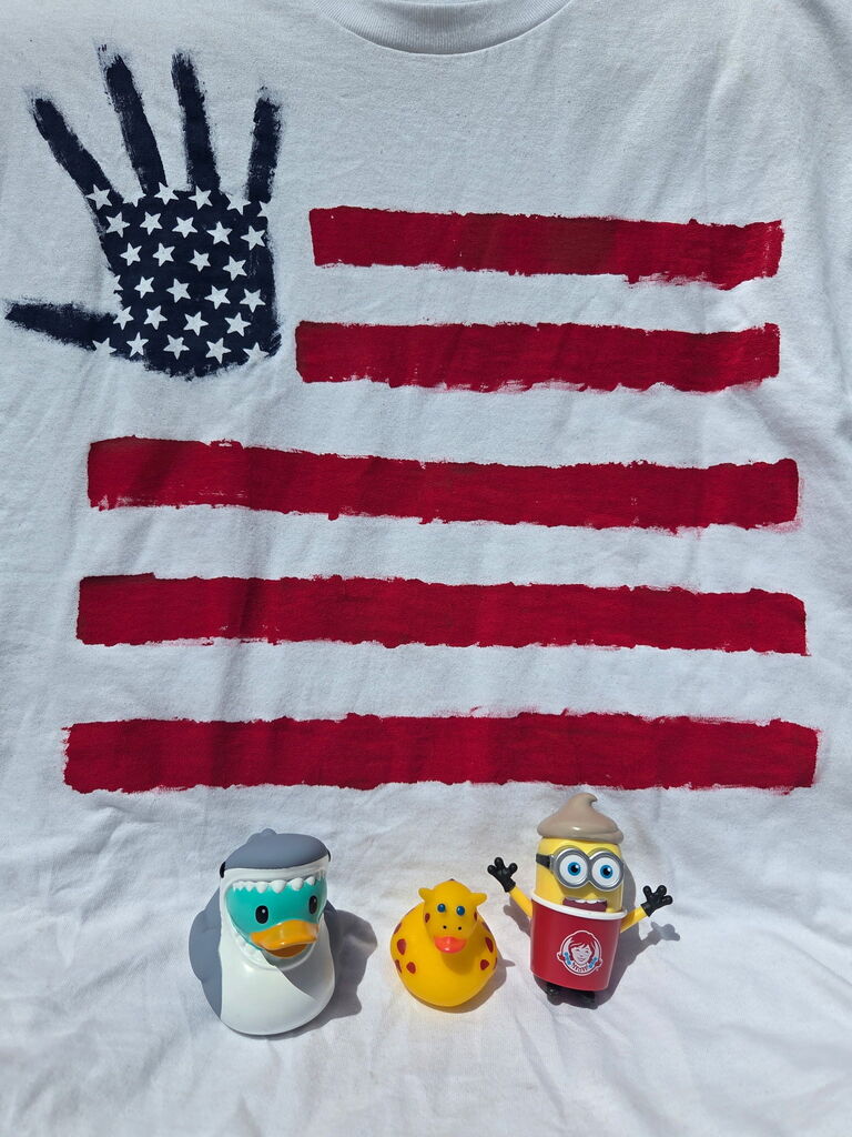 Ducks on the 4th of July