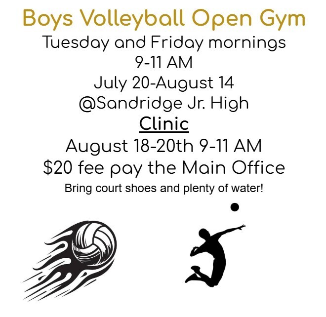 Boys Volleyball open gym tue and fridays & Clinic 9-11 aug 18-20