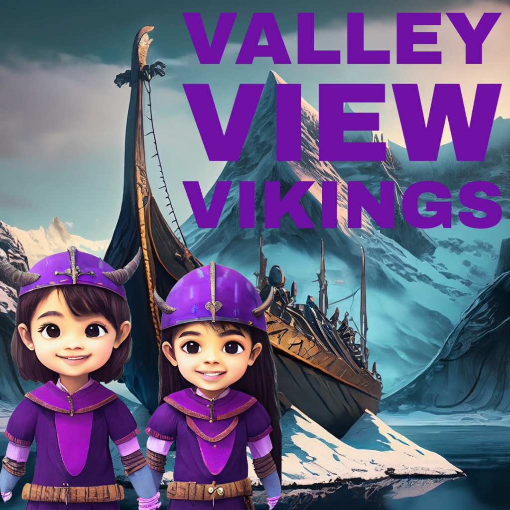 Valle y View Vikings image