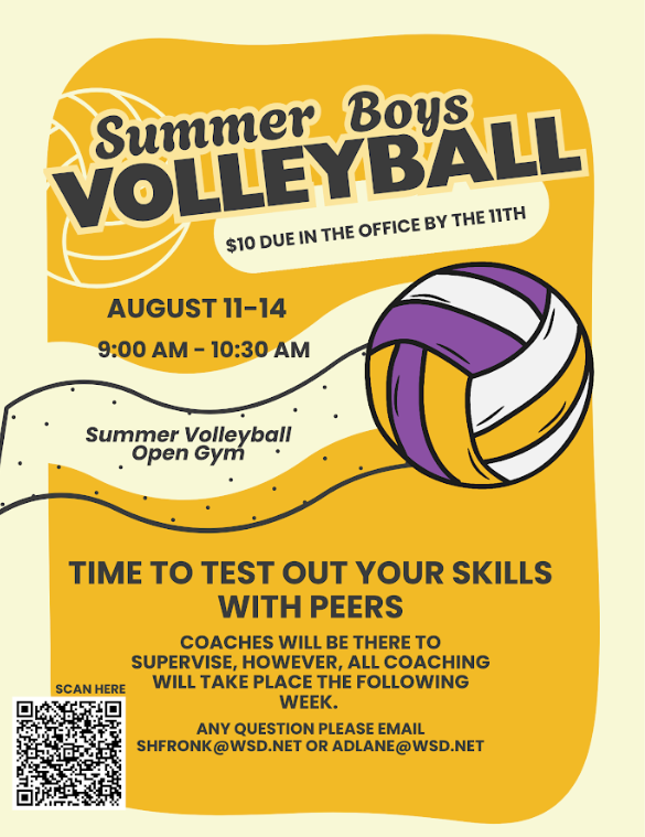 Boys VB open gym