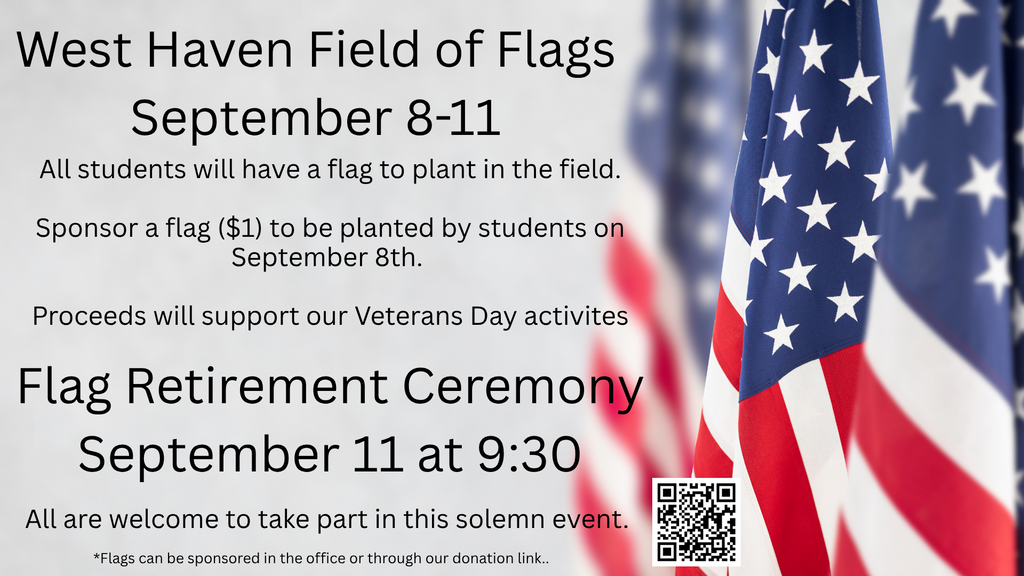 Field of Flags