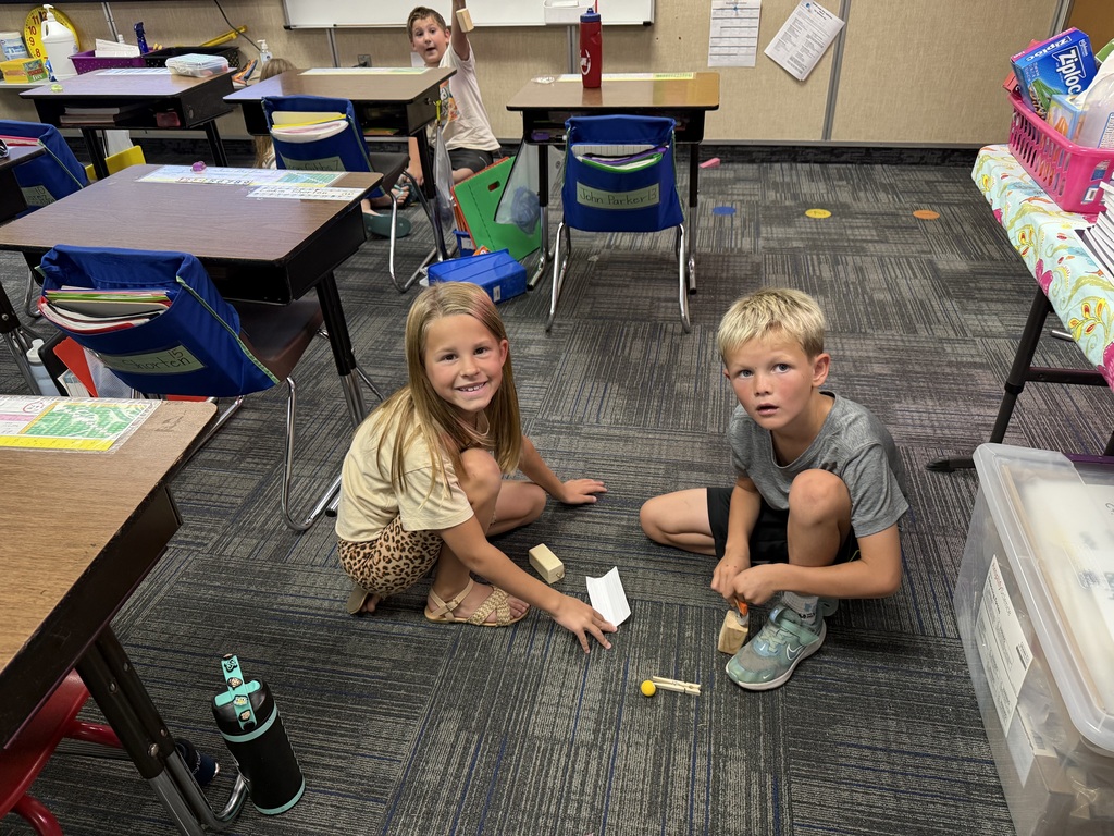 Students Learning in pairs