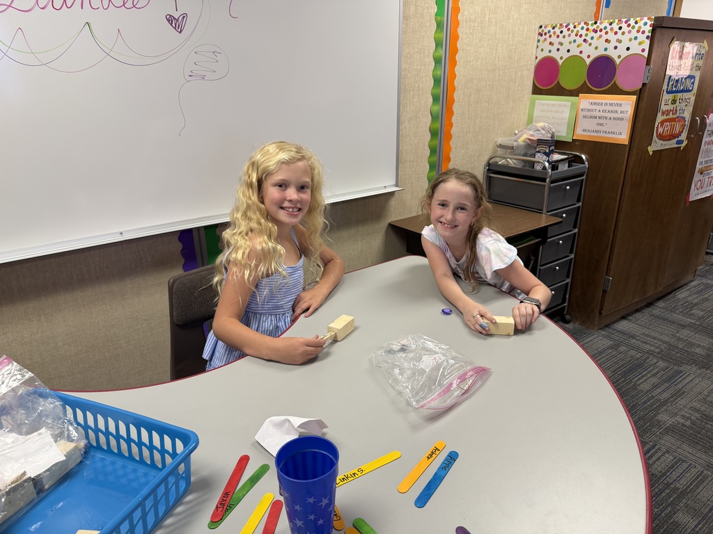 Students Learning in pairs