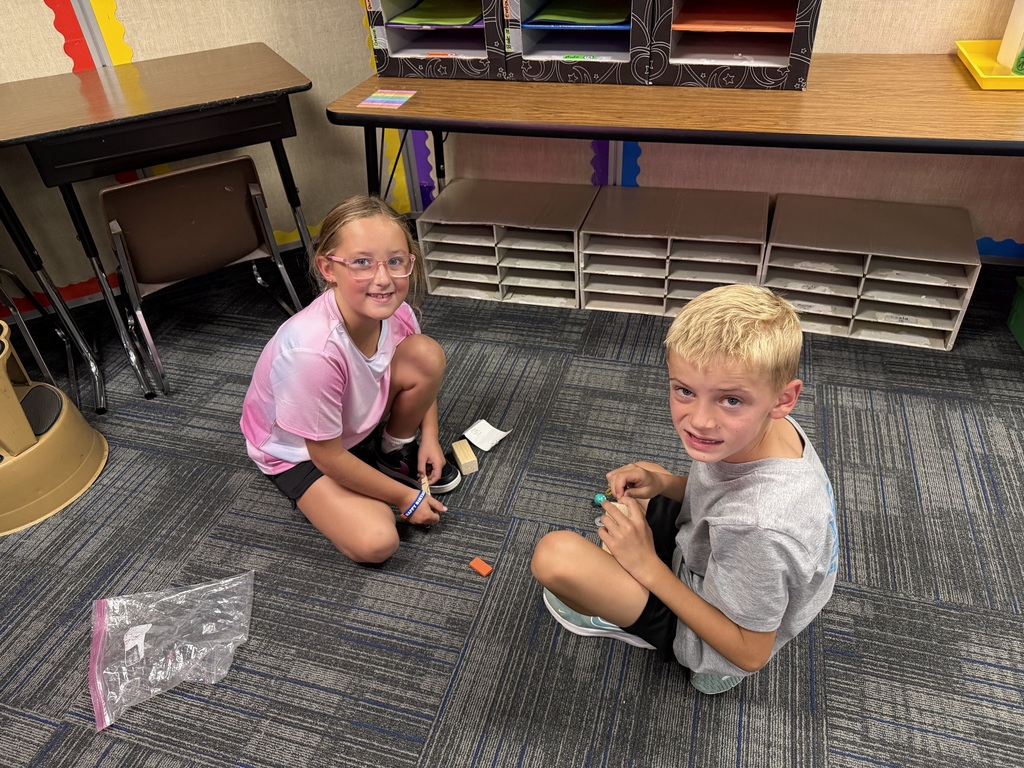 Students Learning in pairs
