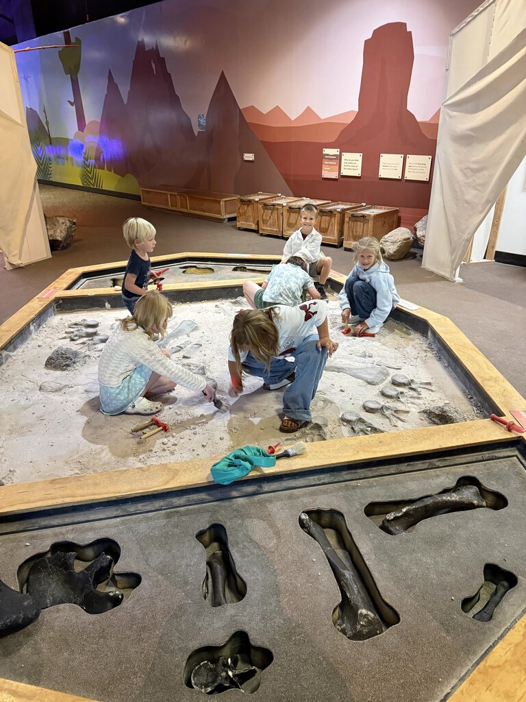 Students kneeling in a large indoor sand pit exhibit, using brushes and tools to carefully unearth mock dinosaur fossils.