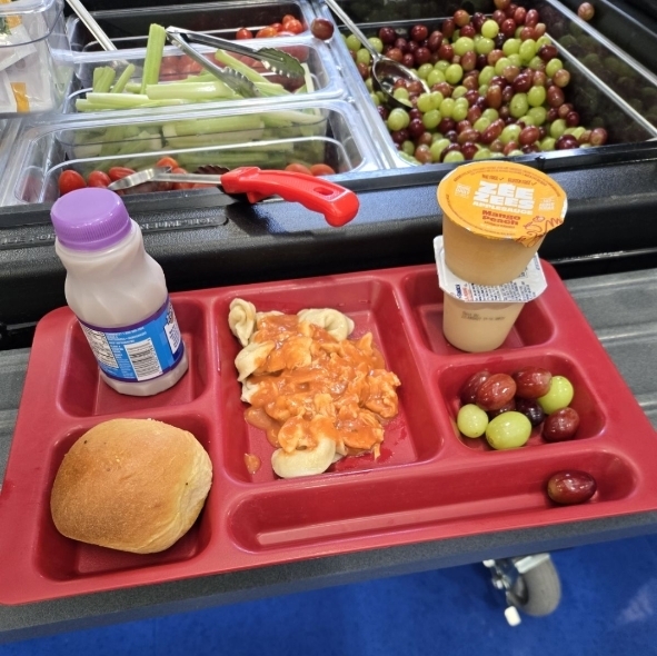 school lunch tray