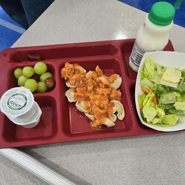 school lunch tray