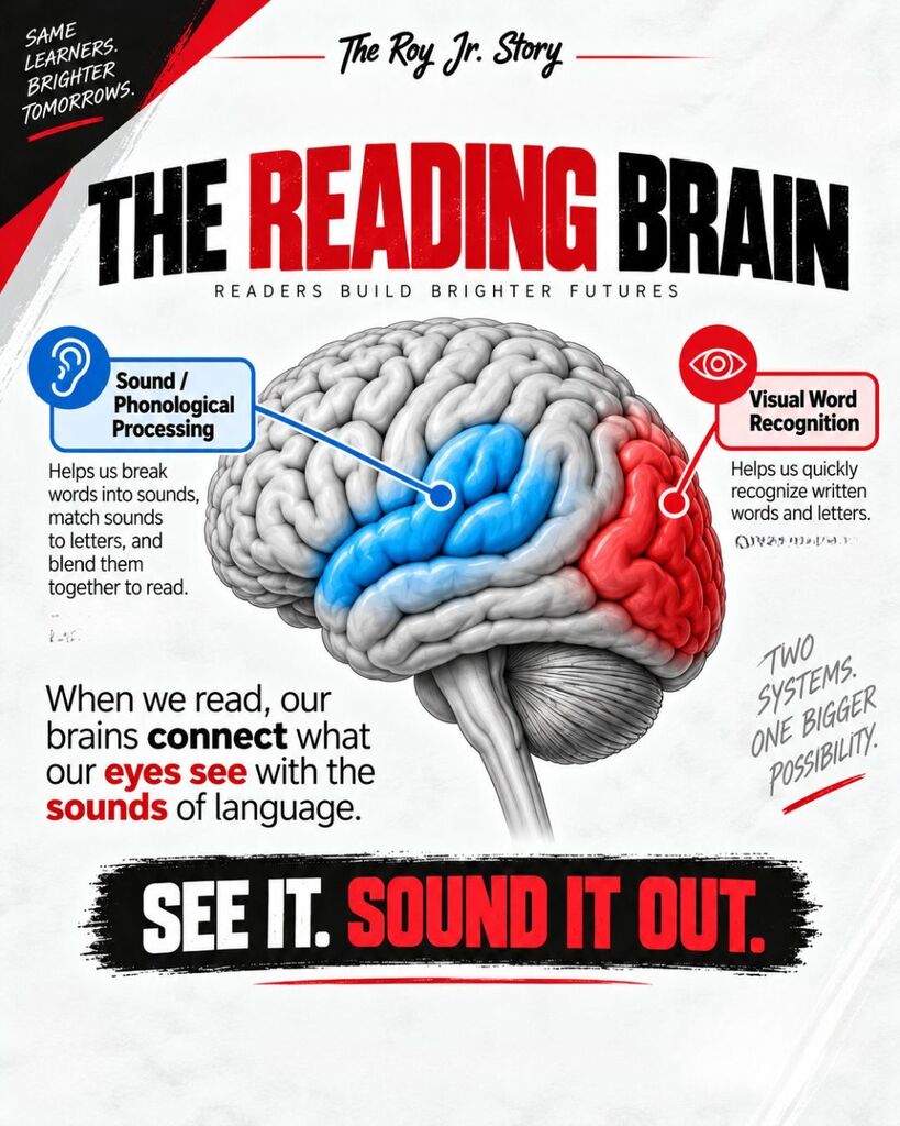 The Reading Brain. See it. Sound it Out.