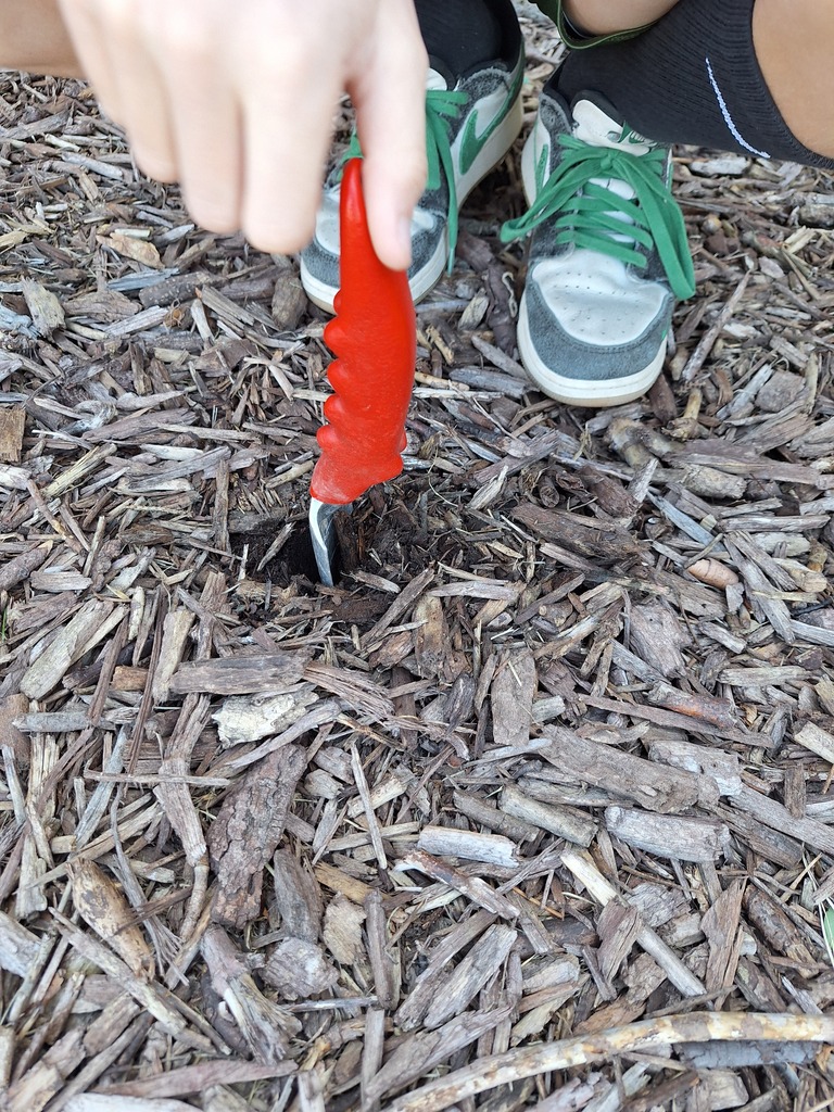 Close-up of a person pushing a red-handled gardening trowel into wood chip mulch.