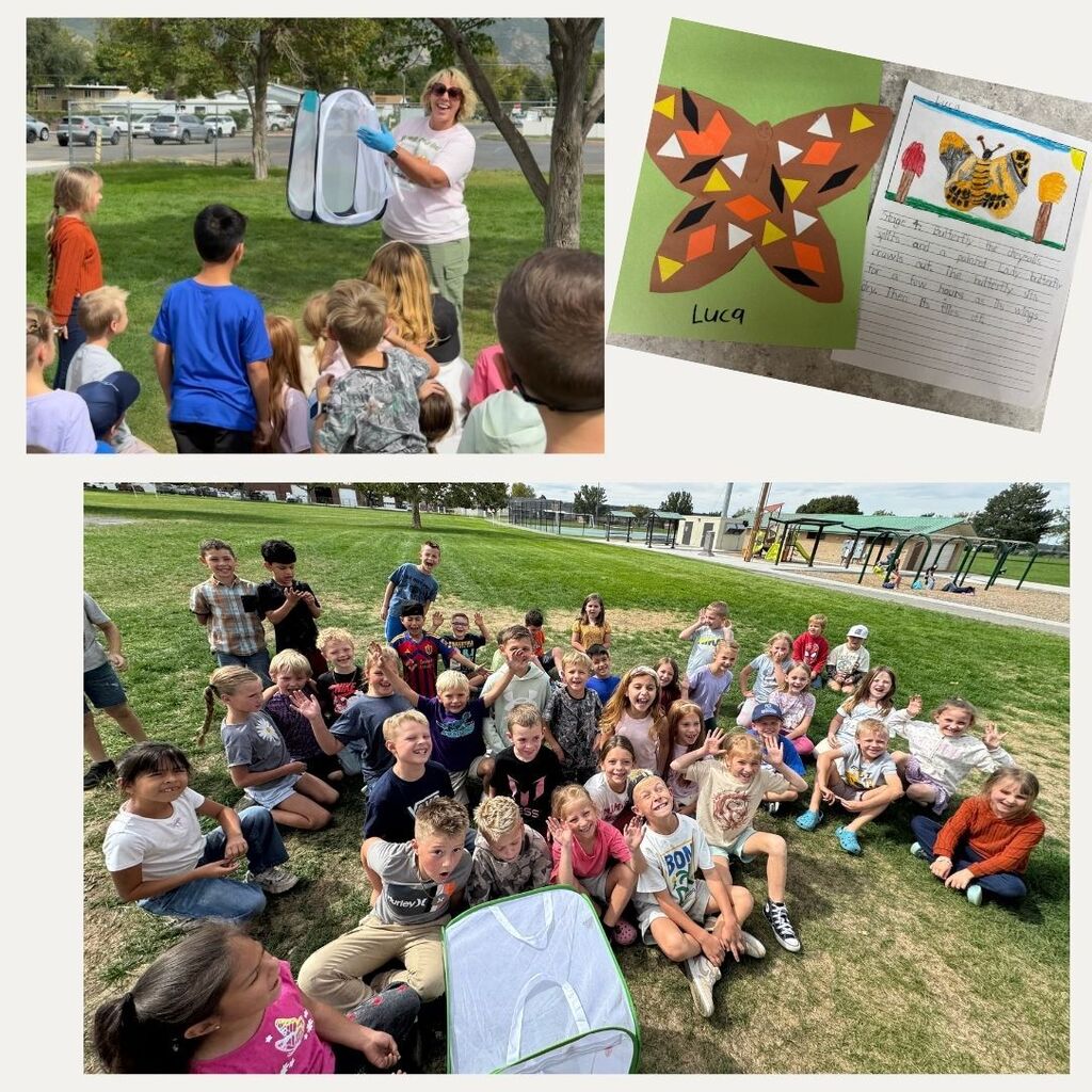 painted lady butterflies fly free! 2nd grade spotlight