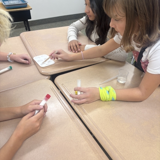 students working together on science investigation