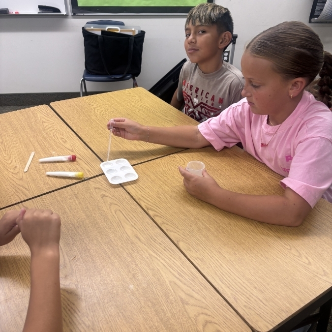 students working together on science investigation