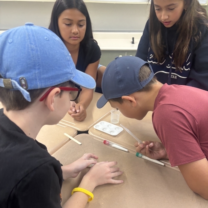 students working together on science investigation