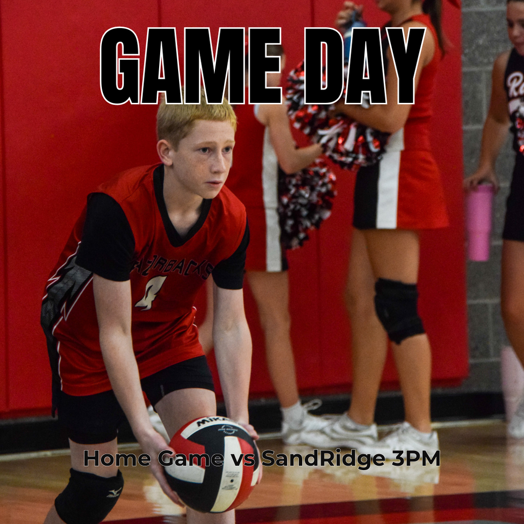 photograph of a roy jr volleyball player getting readt to serve. "Game Day home game vs sand ridge. 3pm