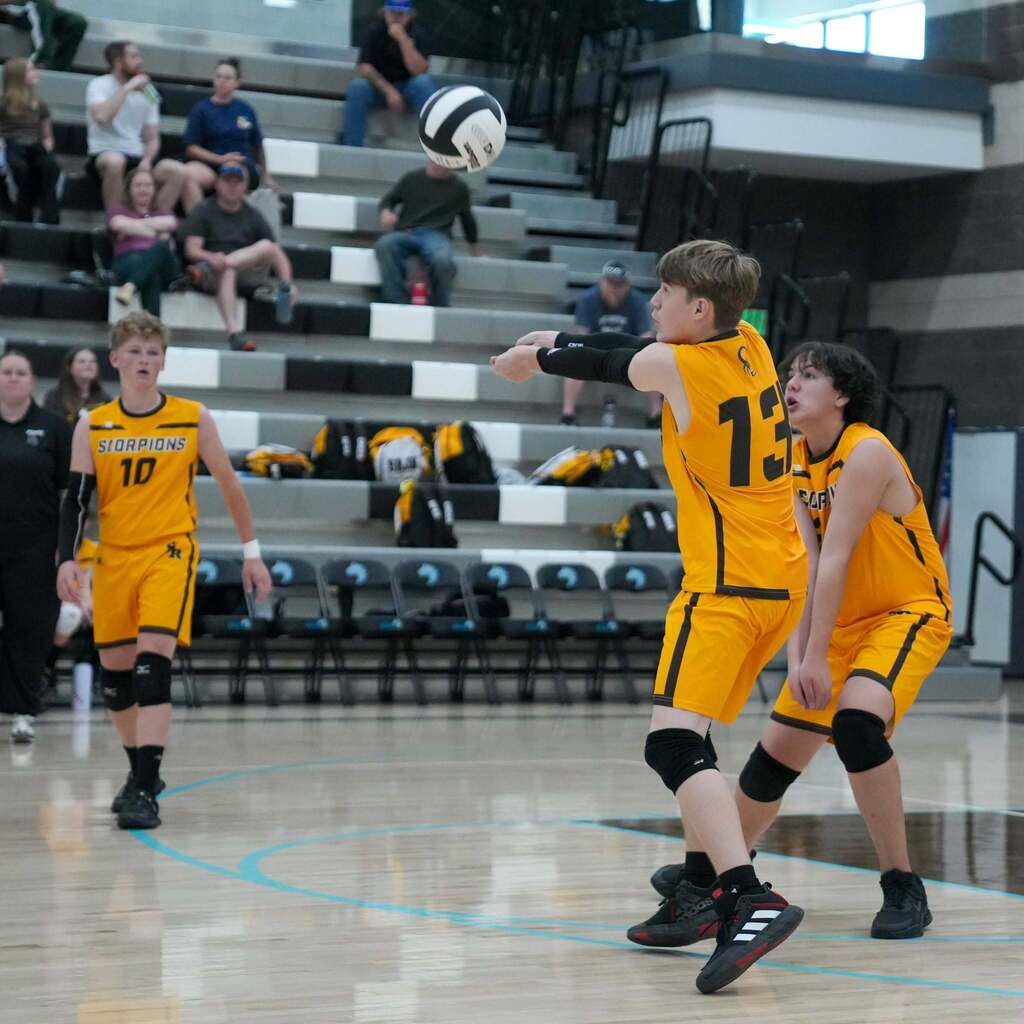 A Scorpions volleyball player wearing a yellow jersey with the number 13 bumps the volleyball overhead to pass to a teammate during an indoor match.